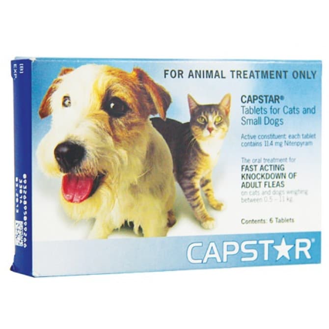 capstar flea tablets for cats